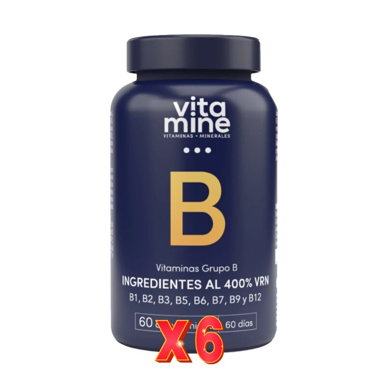 Pack de 6 unidades Vitaminas Grupo B 60 Comprimidos Herbora