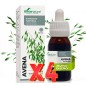 Pack 4 unidades Extracto Avena 50 Ml Soria Natural Pack 4 unidades Extracto Avena 50 Ml Soria Natural