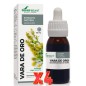 Pack 4 unidades Extracto Vara De Oro 50 Ml Soria Natural Pack 4 unidades Extracto Vara De Oro 50 Ml Soria Natural