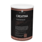 Creatina Bote de 300 g de Dimefar Creatina Bote de 300 g de Dimefar