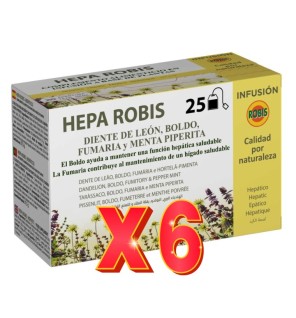 Pack de 6 unidades Hepa Robis 25 Filtros Robis