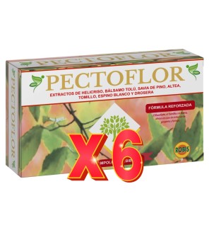 Pack de 6 unidades Pectoflor 20 Ampollas Robis