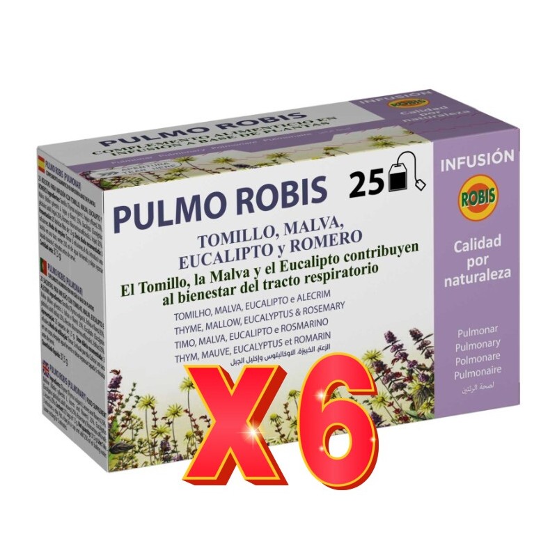 Pack de 6 unidades Pulmo Robis 25 Filtros Robis