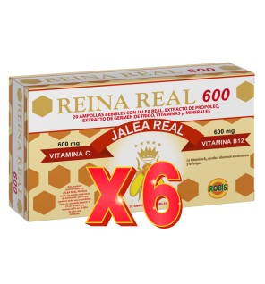 Pack de 6 unidades Reina Real  600 20 Ampollas Robis