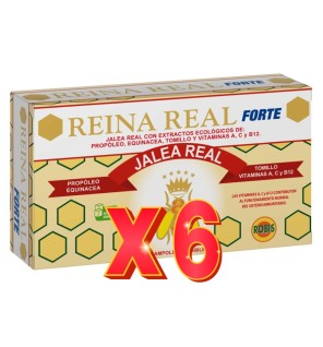 Pack de 6 unidades Reina Real Forte 20 Ampollas Robis