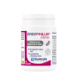 Ergyphilus Intima 60 Capsulas (Refrigeracion) Nutergia