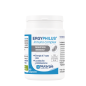 Ergyphilus Inmuno Complex 60 Cápsulas Nutergia