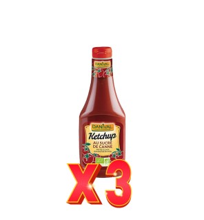 Pack de 3 unidades Ketchup Con Azúcar De Caña Bio, 560 G Danival