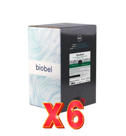 Pack 6 unidades Limpiahogar Concentrado Bag In Box, 20 L Biobel