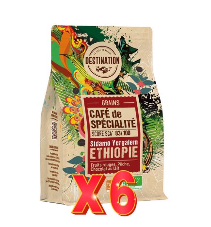Pack 6 unidades Café De Especialidad Etiopia (Región Sidamo Yergalem) Bio,180 G Destination