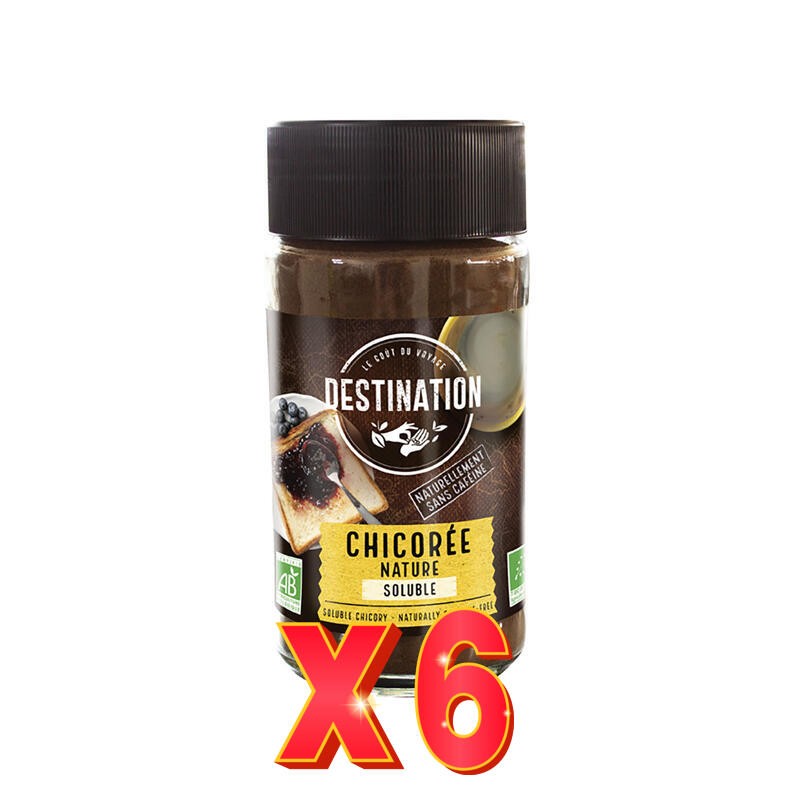 Pack 6 unidades Achicoria Soluble Bio, 100 G Destination