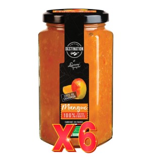 Pack 6 unidades Mermelada De Mango Bio, 300 G Destination