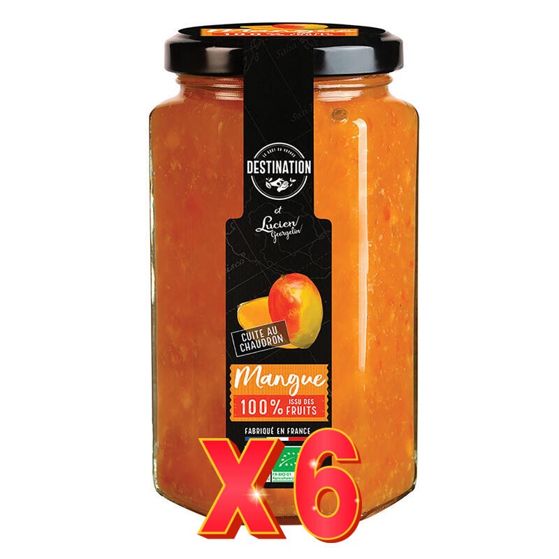 Pack 6 unidades Mermelada De Mango Bio, 300 G Destination Pack 6 unidades Mermelada De Mango Bio, 300 G Destination