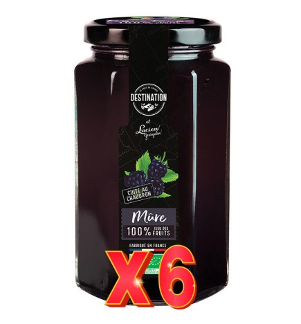 Pack 6 unidades Mermelada De Moras Bio, 300 G Destination