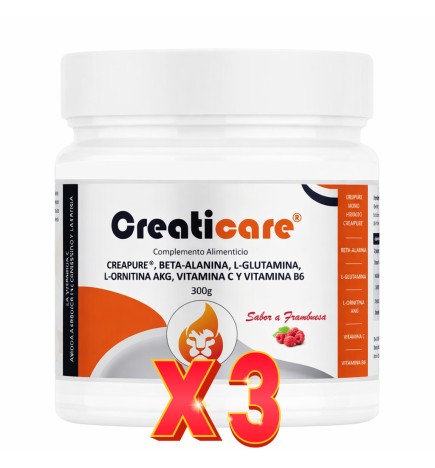Pack de 3 unidades Creaticare 300 G Margan