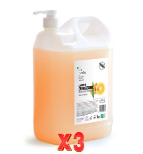 Pack de 3 unidades Champú Naranja Mandarina Y Menta 5 Litros Tot Herba
