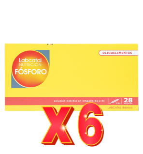 Pack de 6 unidades Fosforo 15 28X2Ml Ampollas Labcatal
