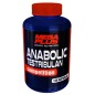 Anabolic Testribul.Compet.120 Cápsulas Mega Plus Anabolic Testribul.Compet.120 Cápsulas Mega Plus