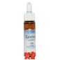 Pack de 2 unidades Fm Gentian (Genciana) 10 Ml Forza Vitale Pack de 2 unidades Fm Gentian (Genciana) 10 Ml Forza Vitale