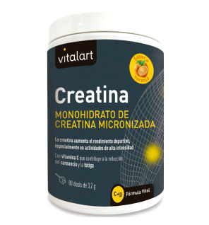 Creatina 256 G Vitalart