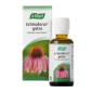 Echinaforce Gotas 50 Ml Vogel