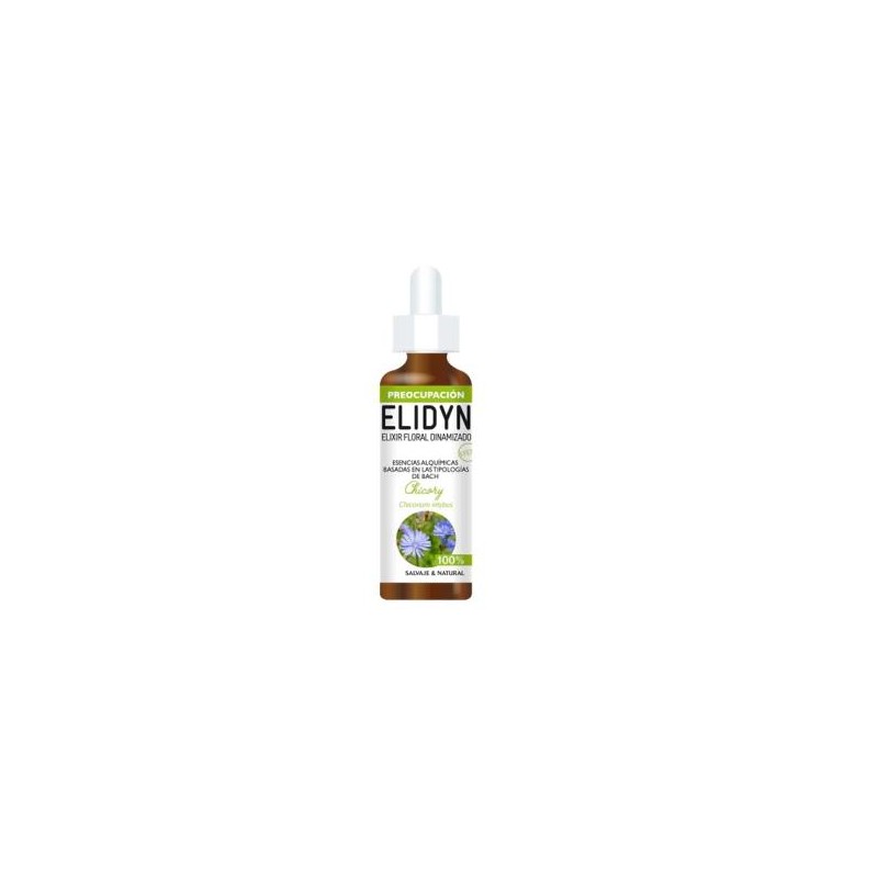 Chicory 20 Ml Elidyn