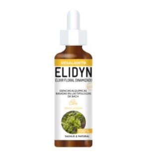 Elm 20 Ml Elidyn