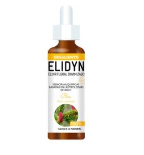 Pine 20 Ml Elidyn