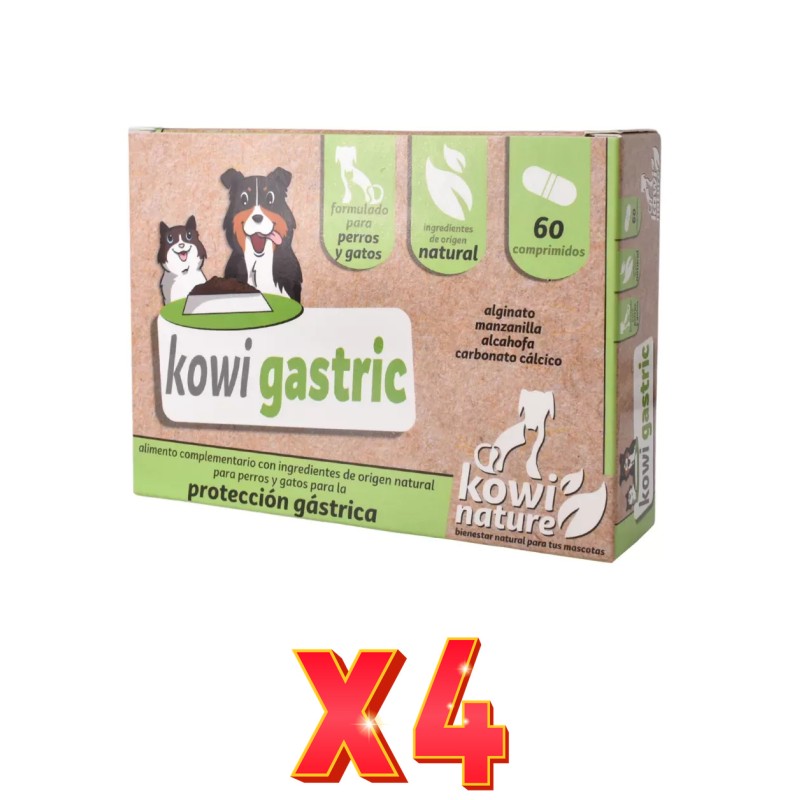 Pack de 4 unidades Kowi Gastric 60 Comprimidos Kowi Pack de 4 unidades Kowi Gastric 60 Comprimidos Kowi