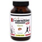 L-Carnitina 100 Cápsulas Pinisan