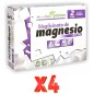 Pack de 4 unidades Bisglicinato De Magnesio 60 Cápsulas Pinisan