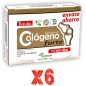 Pack de 6 unidades Colageno Hidrolizado Forte 60 Caps Pinisan Pack de 6 unidades Colageno Hidrolizado Forte 60 Caps Pinisan