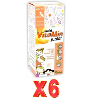 Pack de 6 unidades Multi Vitamin Junior Pinisanitos 250 Ml Pinisan