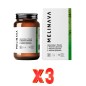 Pack de 3 unidades L-Teanina Liposomal Cápsulas Melinava