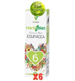 Pack de 6 unidades Extracto Echinácea 50 Ml. Novadiet
