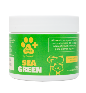 Seagreen 100G Dr Green