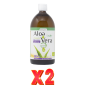 Pack de 2 unidades Jugo Aloe Vera Bio 1L Drasanvi Pack de 2 unidades Jugo Aloe Vera Bio 1L Drasanvi