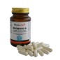 Probiota 9 Pv (30 Cápsulas) Cápsulas Pamies Vitae Probiota 9 Pv (30 Cápsulas) Cápsulas Pamies Vitae