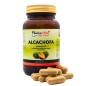 Alcachofa Pv (60 Cápsulas) Cápsulas Pamies Vitae