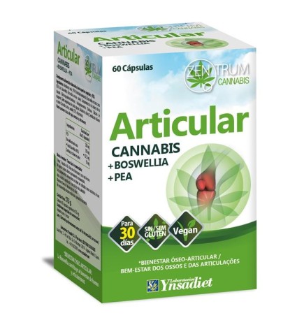 Articular 60 Caps. V Ynsadiet