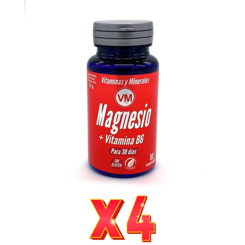 Pack 4 unidades Magnesio + Vitamina B6 60 Comp Ynsadiet