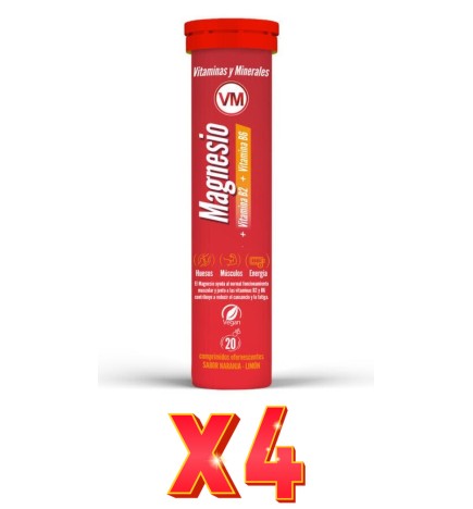Pack de 4 unidades Magnesio + Vitamina B2+Vitamina B6  Efervescente 20 Tabletas Ynsadiet