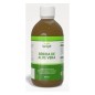 Bebida De Aloe Vera 1L Sotya