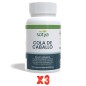 Pack De 3 Unidades Cola De Caballo 500Mg 100 Comprimidos Sotya Pack De 3 Unidades Cola De Caballo 500Mg 100 Comprimidos Sotya
