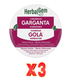 Pack de 3 unidades Caramelos Garganta Fumadores 45 Gramos Herbalgem