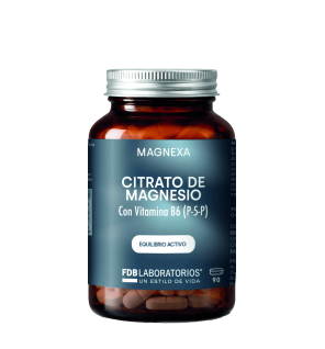 Citrato de Magnesio + B6 (P-5-P) 90 comprimidos de Magnexa