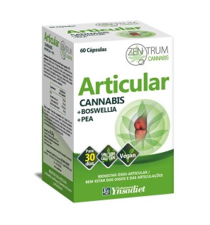 Articular 60 C. Zentrum Cannabis Ynsadiet