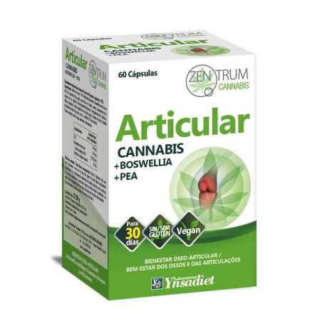 Articular 60 C. Zentrum Cannabis Ynsadiet