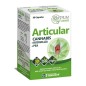 Articular 60 C. Zentrum Cannabis Ynsadiet Articular 60 C. Zentrum Cannabis Ynsadiet
