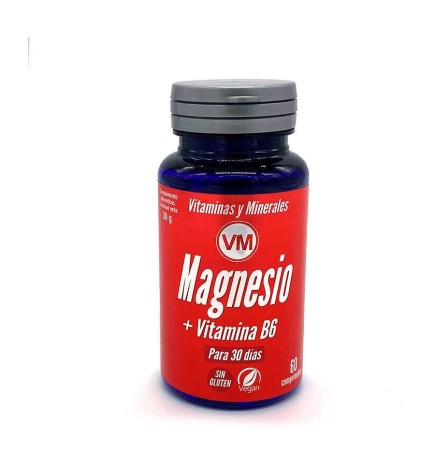 Magnesio + Vitamina B6 60 Comp Vm Ynsadiet